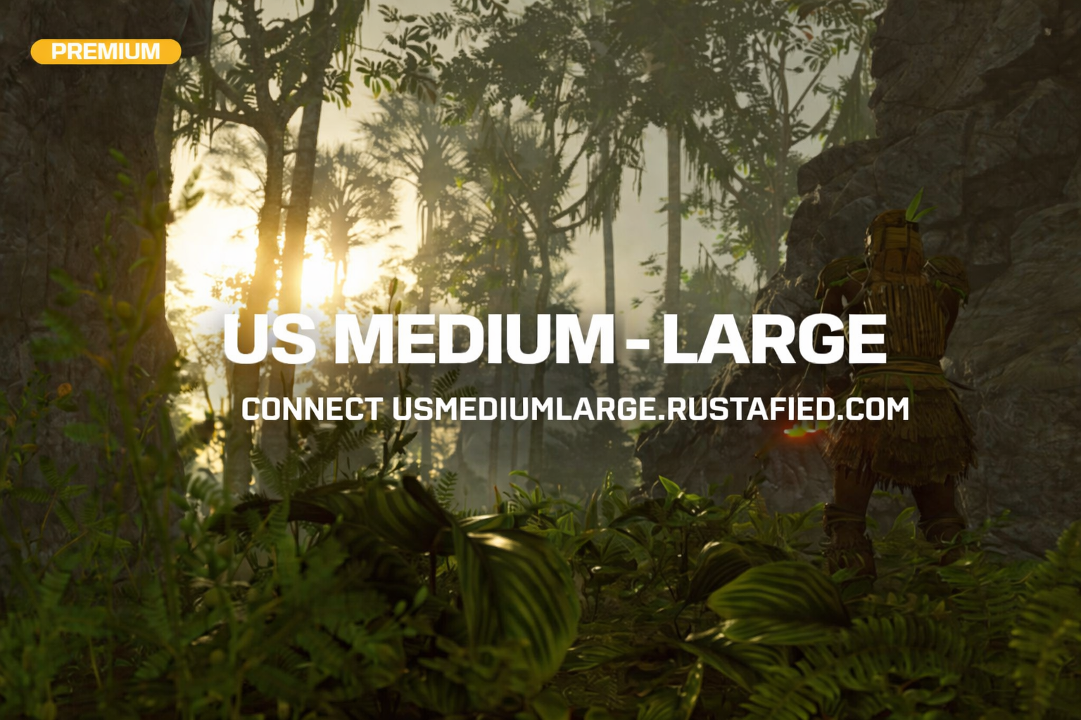 - US Medium - Large
